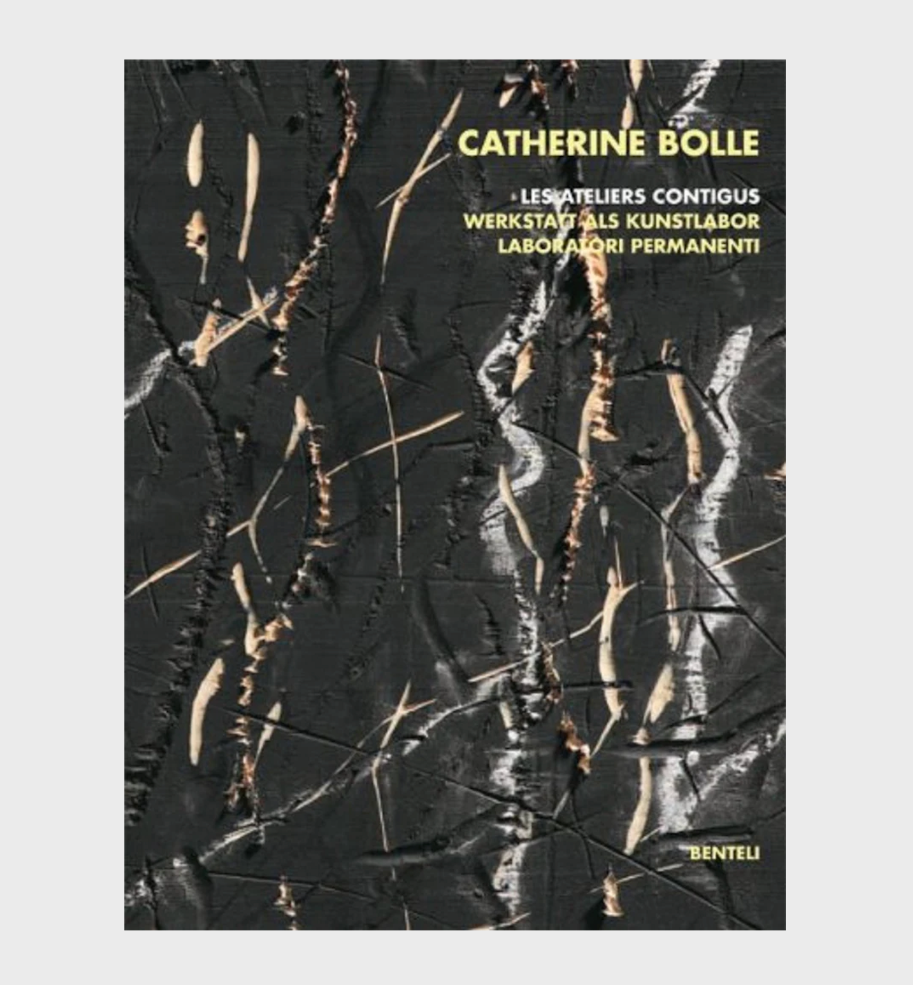 Catherine Bolle - Les ateliers contigus - 2011
